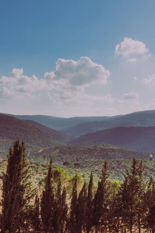CALM IN THE VALLEY