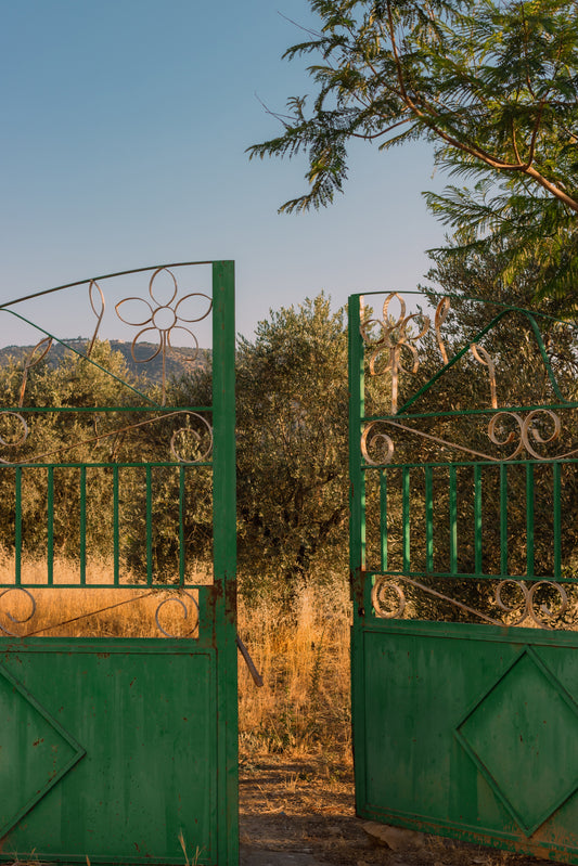 NATURE'S GATE