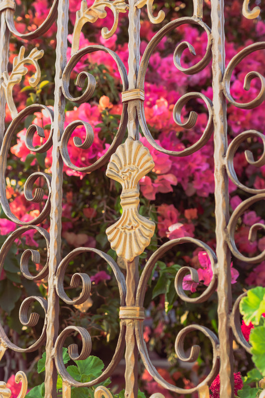 FENCED FLOWERS