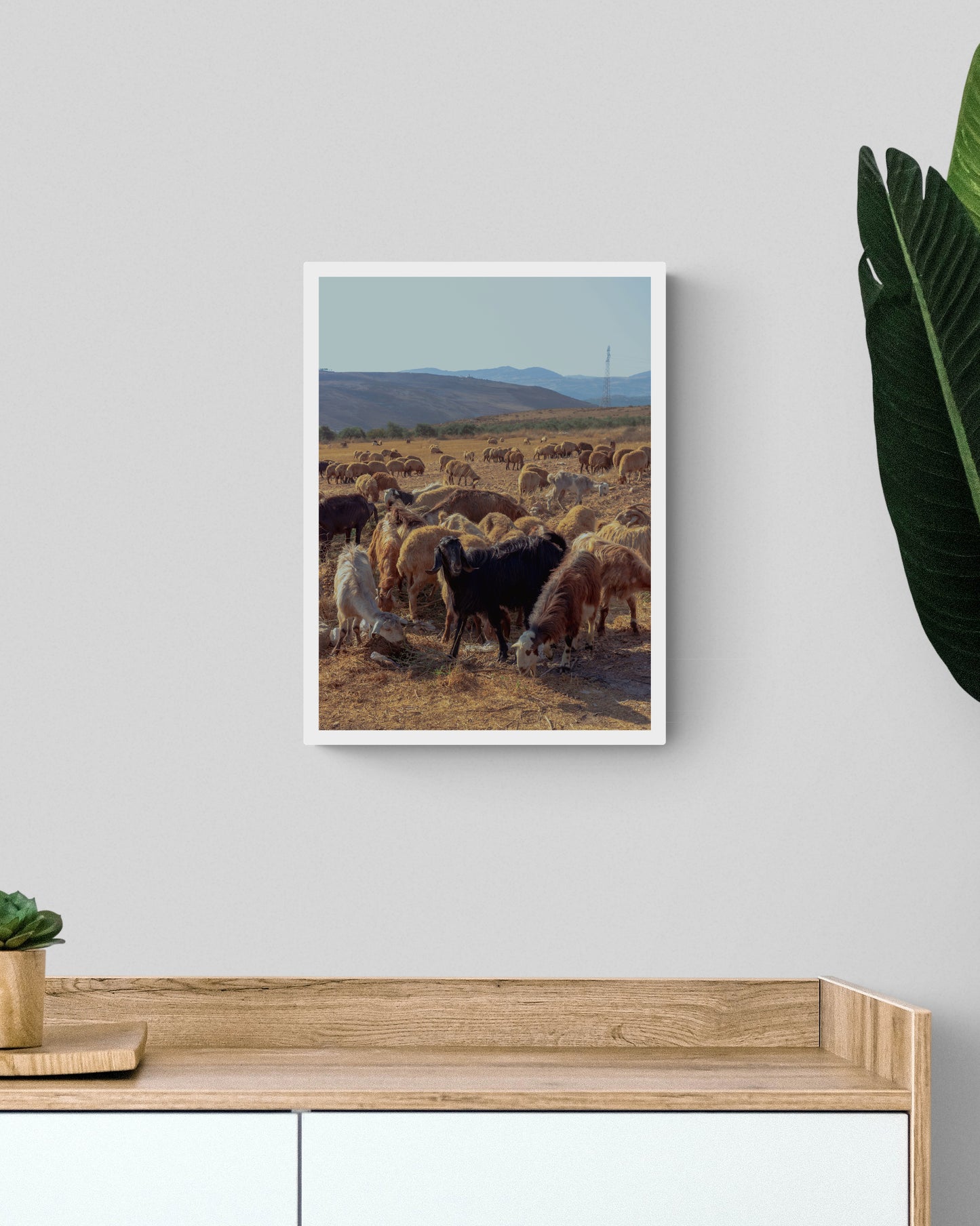 BAA BAA BLACK GOAT