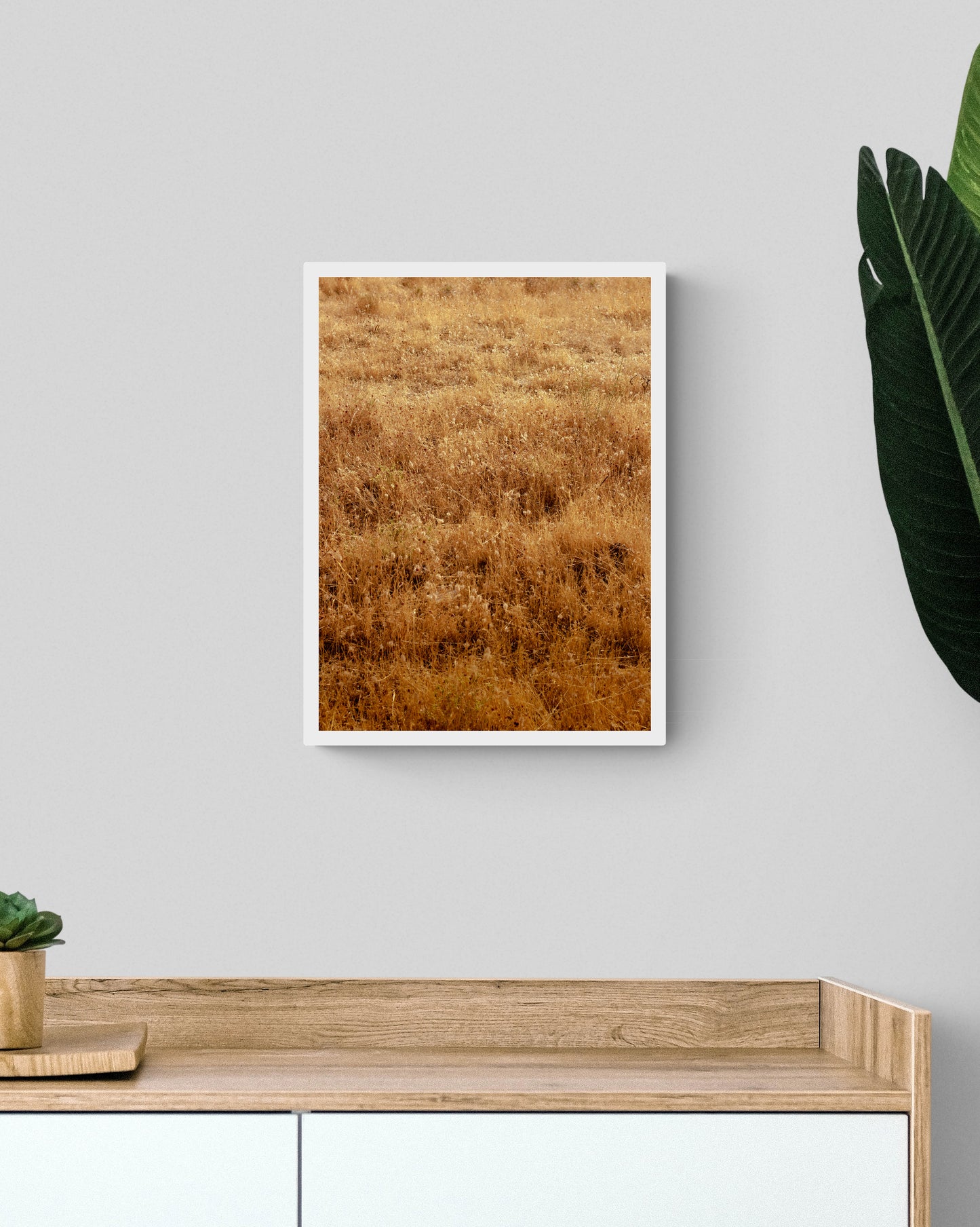 SEA OF YELLOW GRASS