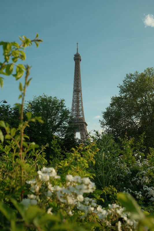 Eiffel Tower I